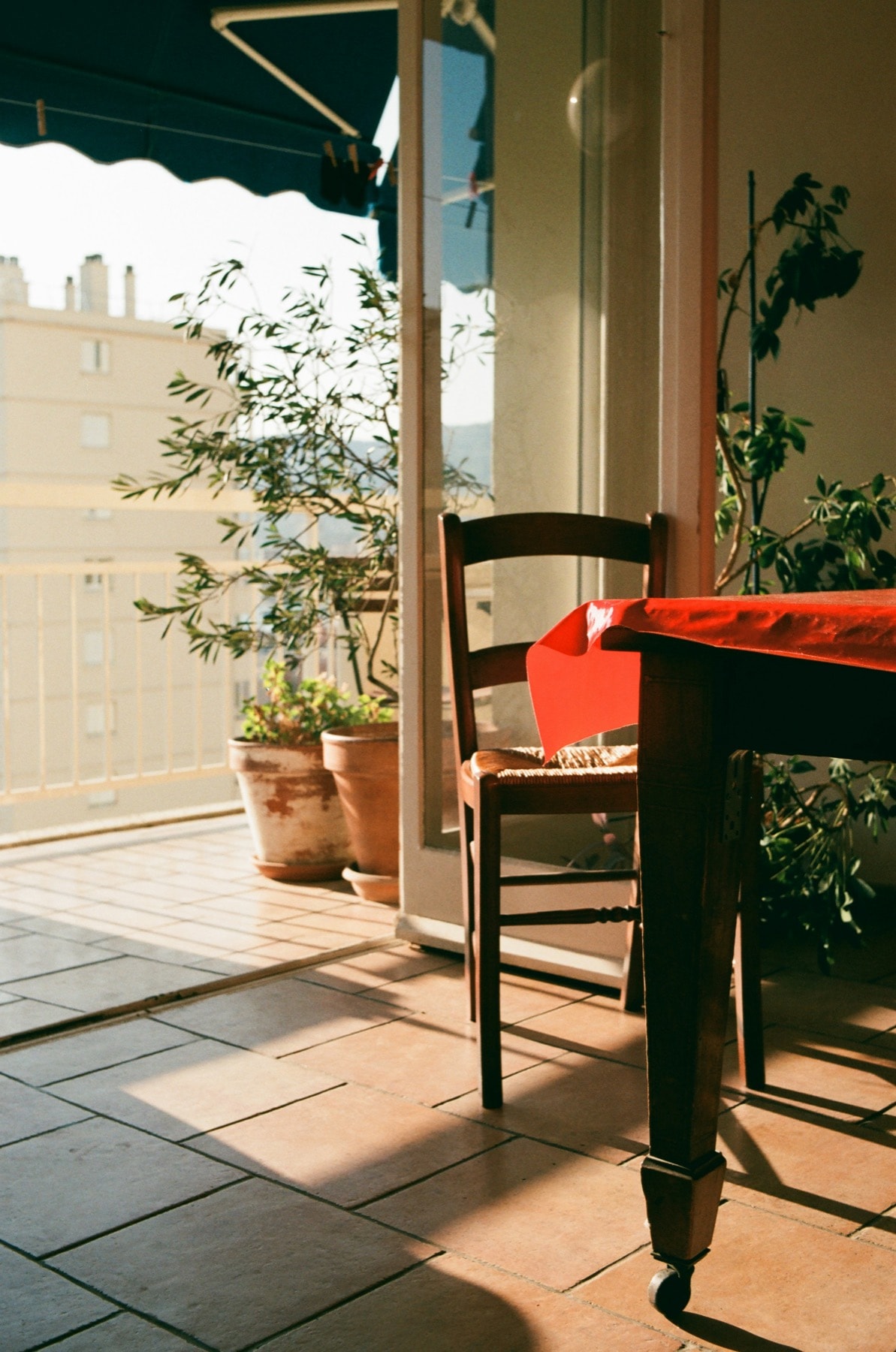 A sunlit terrace and dining table used as the cover for Fyn